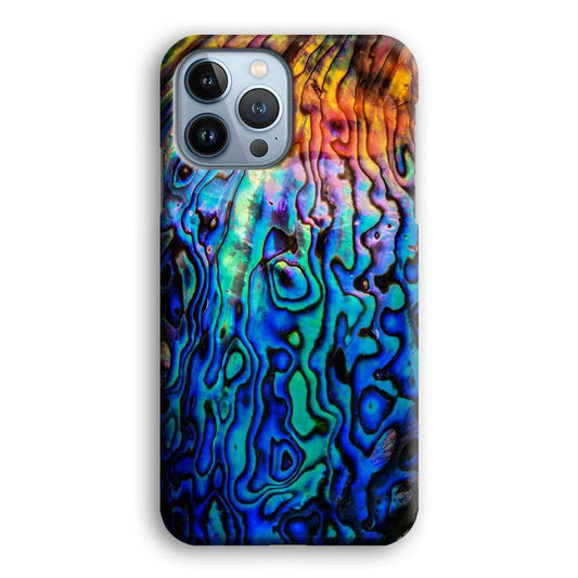 Abalone Shell Colorful iPhone 13 Pro Case-Plastic / Full Wrap (3D Case)-Xtracase