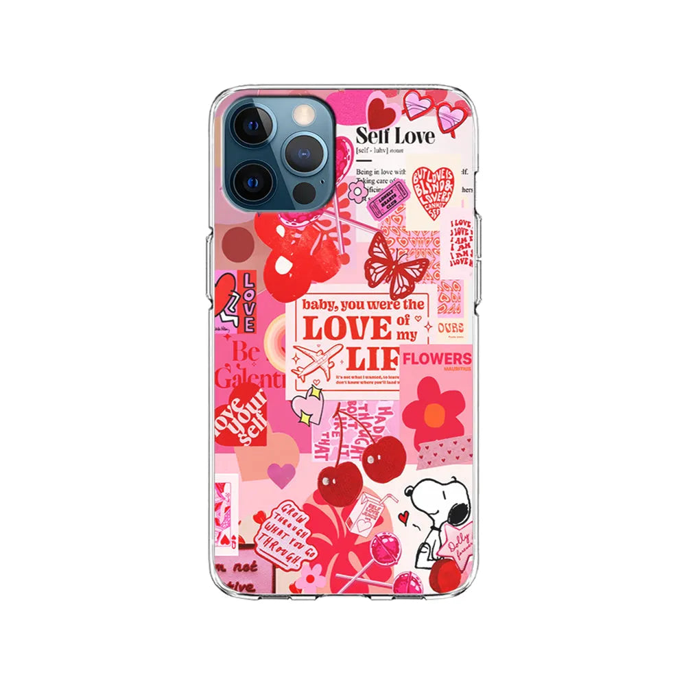 Valentine’s Day Aesthetic iPhone 13 Pro Max Case-Clear Soft Case-Xtracase