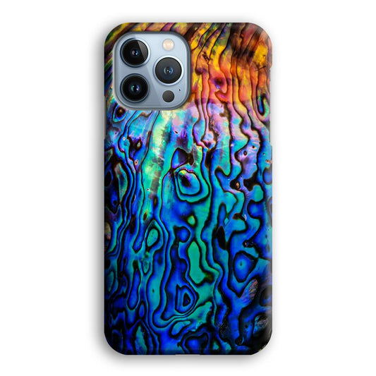 Abalone Shell Colorful iPhone 13 Pro Max Case