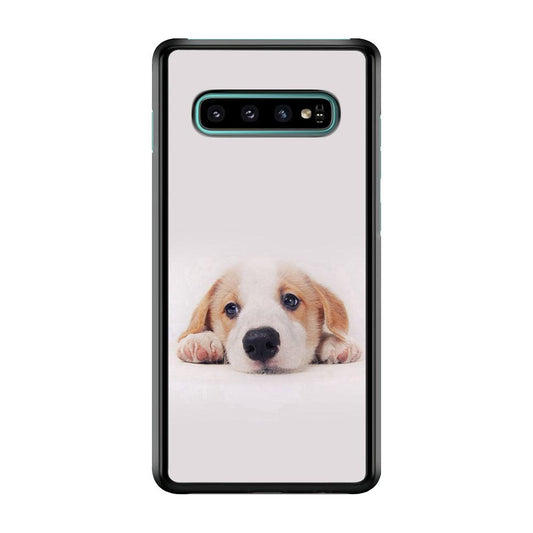 Cute Face Dog 002 Samsung Galaxy S10 Case-Plastic / Full Wrap (3D Case)-Xtracase
