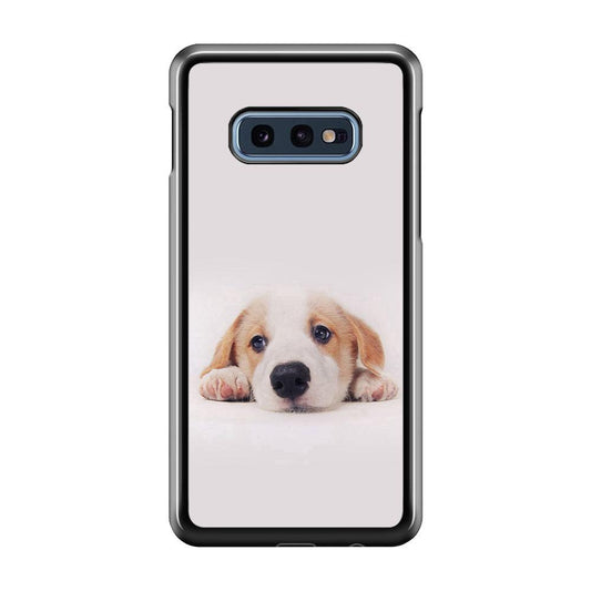 Cute Face Dog 002 Samsung Galaxy S10E Case-Plastic / Full Wrap (3D Case)-Xtracase