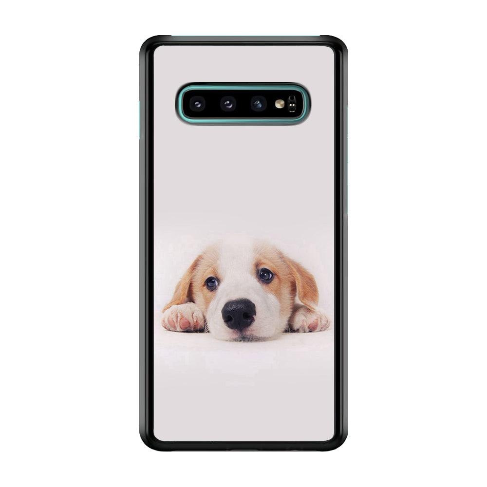Cute Face Dog 002 Samsung Galaxy S10 Plus Case-Plastic / Full Wrap (3D Case)-Xtracase