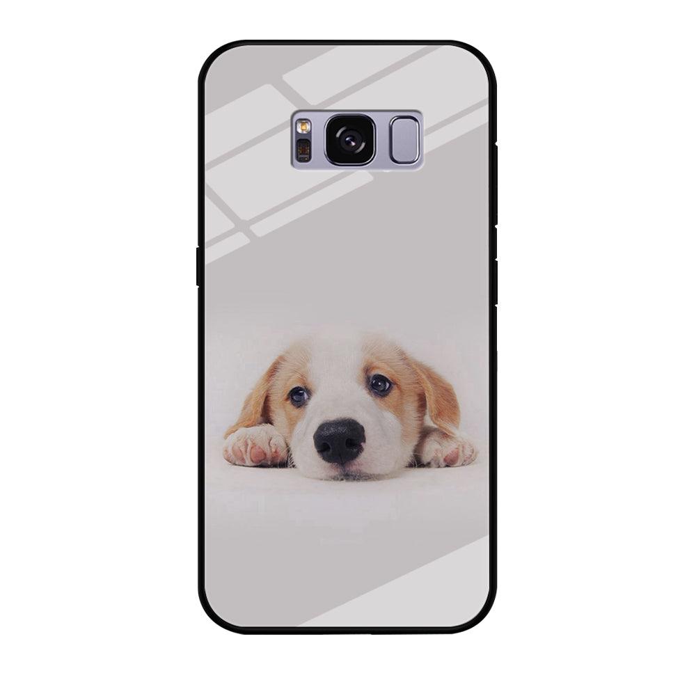 Cute Face Dog 002 Samsung Galaxy S8 Case-Tempered Glass Case-Xtracase