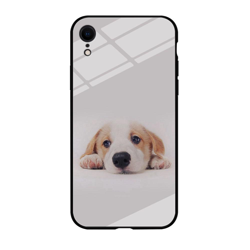 Cute Face Dog 002 iPhone XR Case-Tempered Glass Case-Xtracase