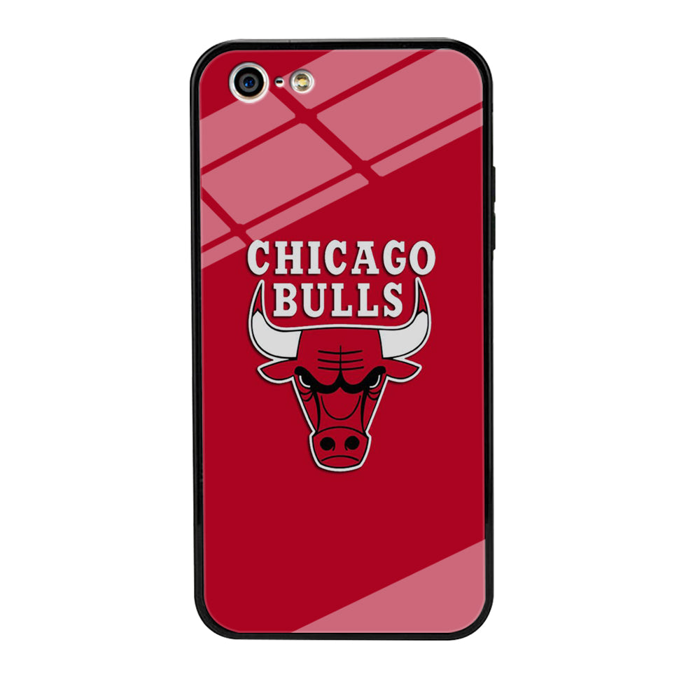 NBA Chicago Bulls Basketball 001 iPhone 5 | 5s Case