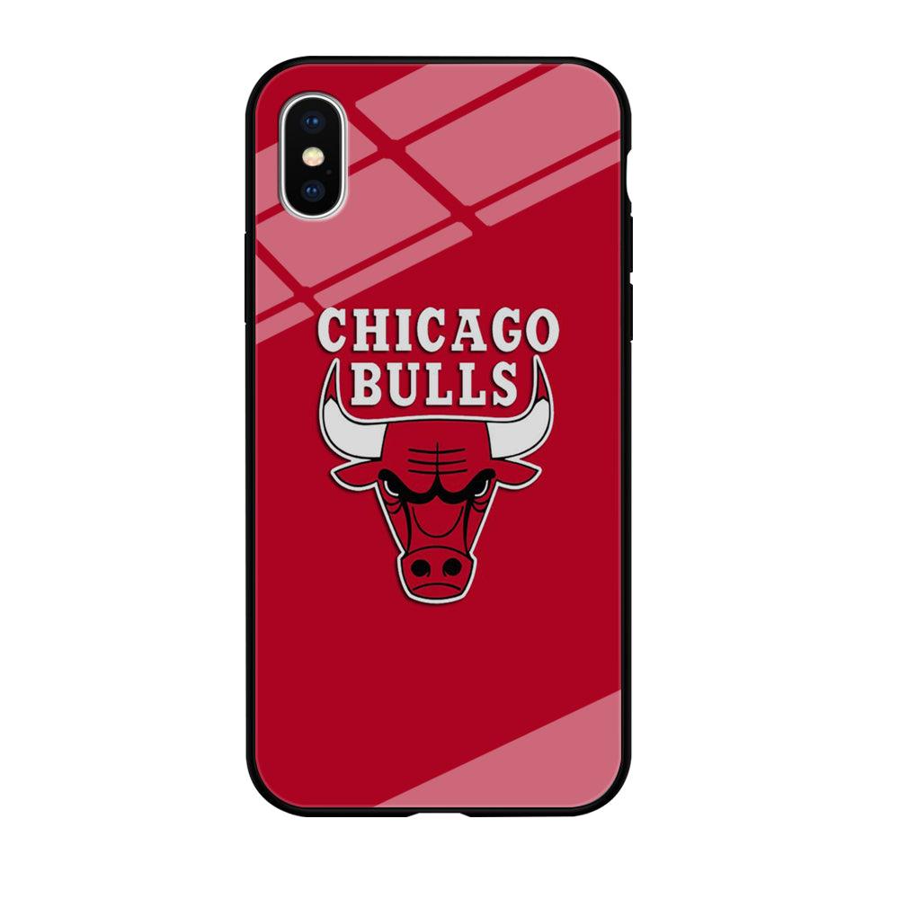 NBA Chicago Bulls Basketball 001 iPhone Xs Case-Tempered Glass Case-Xtracase