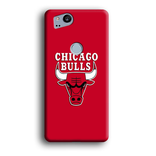 NBA Chicago Bulls Basketball 001 Google Pixel 2 3D Case