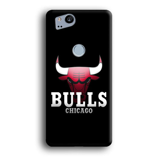 NBA Chicago Bulls Basketball 002 Google Pixel 2 3D Case-Xtracase